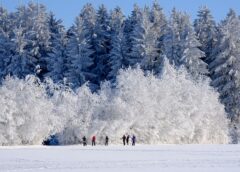 Moda męska na zimę – jak połączyć styl z wygodą i ciepłem?